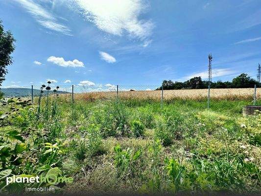 Garten mit Blick aufs Feld
