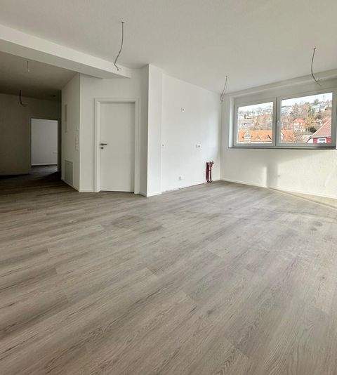 Albstadt Wohnungen, Albstadt Wohnung mieten