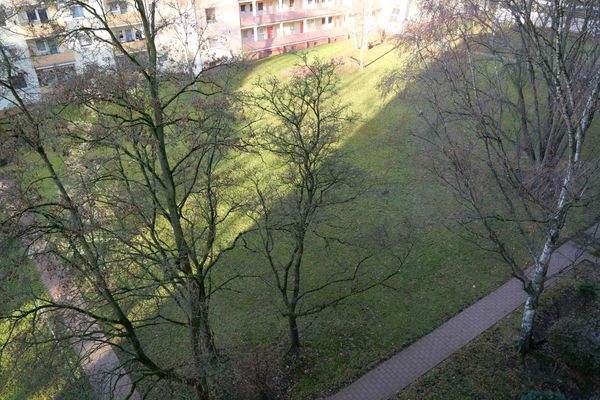 Blick vom Laubengang in den begrünten Innenhof