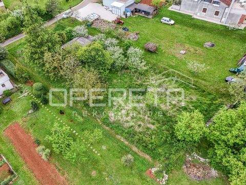 Karojba Bauernhöfe, Landwirtschaft, Karojba Forstwirtschaft