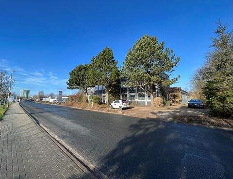 Flensburg Büros, Büroräume, Büroflächen 