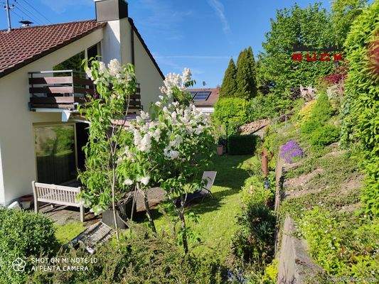 Außenansicht bei Abendsonne