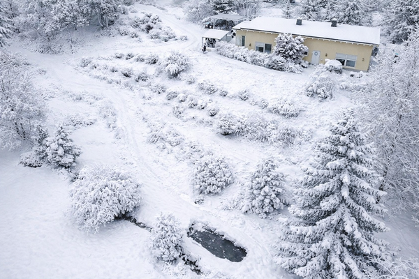 Einfamilienhaus- Wohnen auf eine Ebene