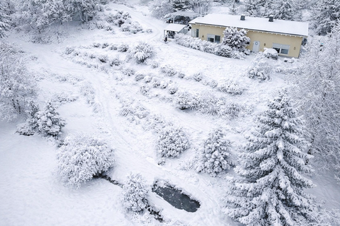 Steinach Häuser, Steinach Haus kaufen