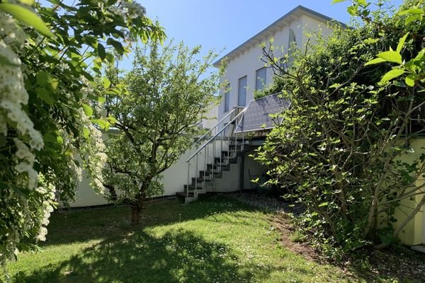 Rasenfläche mit Zugang zur Terrasse