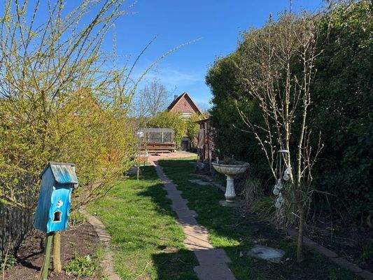 Blick in den Garten