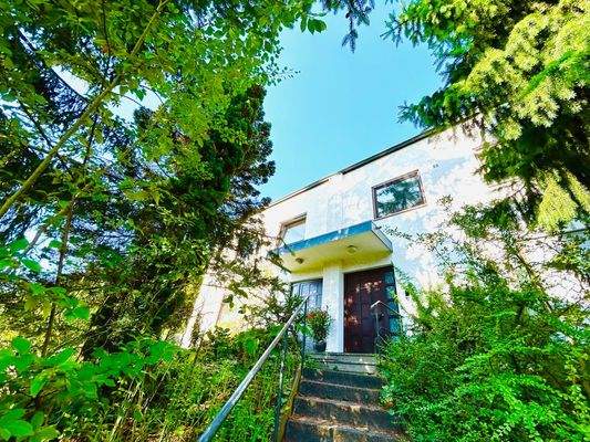 Ihre Doppelhaushälfte von der Straße & Treppe