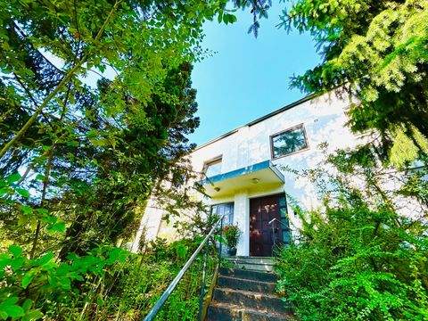 Regensburg Häuser, Regensburg Haus kaufen