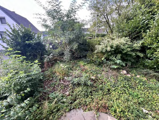 Ansicht Garten 1