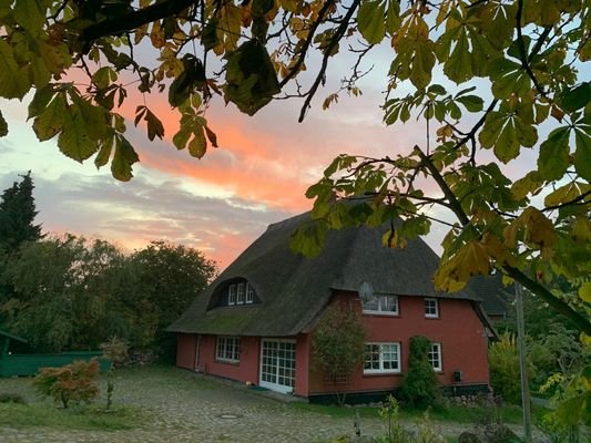 Haus