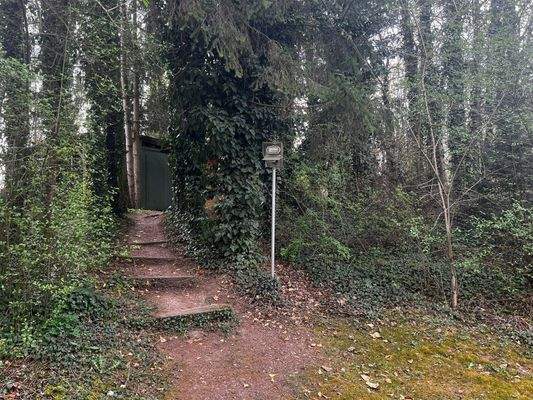 Weg rund um den See/Teich