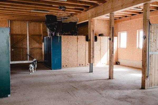 Putz- und Sattelbereich