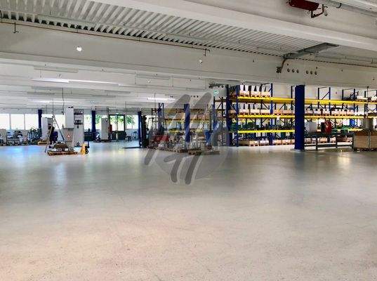 INFOS UNTER: 06171-586000