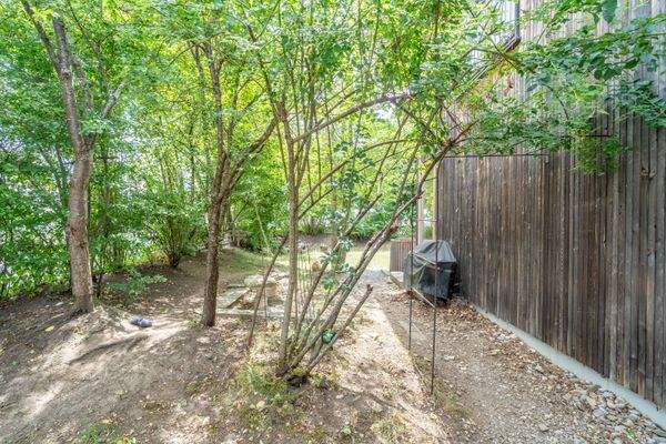 Wilder Garten Ostseite