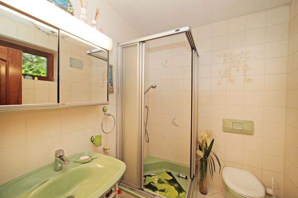 Dusche und Gäste-WC im Erdgeschoss