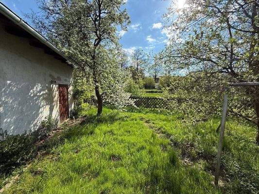 65f810df-5c03-405c-ba97-b5ff37b4ef07