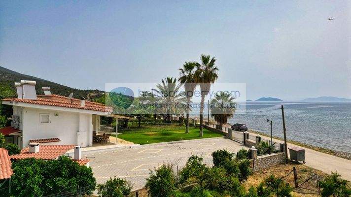 img_c15db416-78b7-4453-a9c3-01475adde775