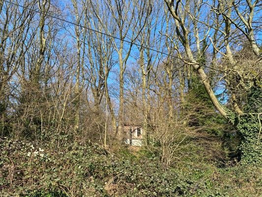 Wald oberhalb Baufenster