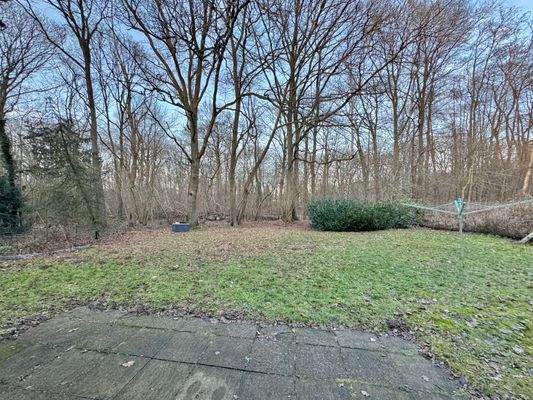 Blick in den angrenzenden Ihlwald