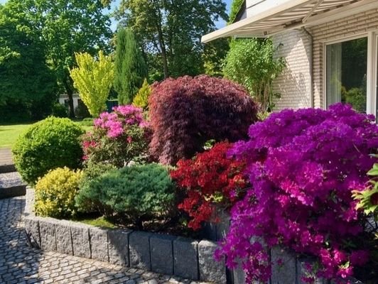 Terrasse mit Blumen
