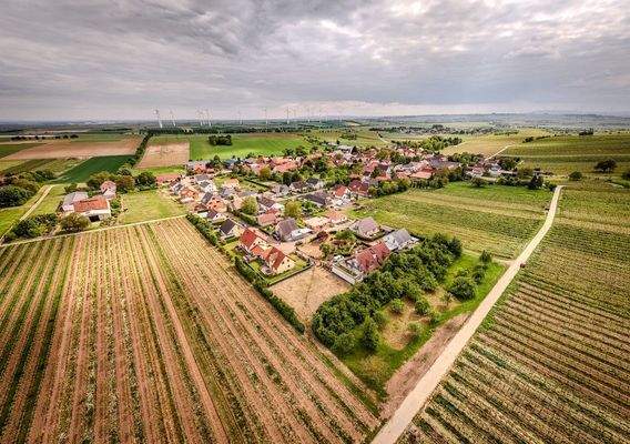 Sie werden es lieben