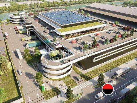 Hamburg Halle, Hamburg Hallenfläche