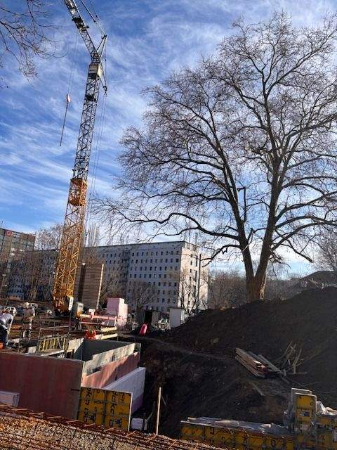 Dresden Wohnungen, Dresden Wohnung kaufen