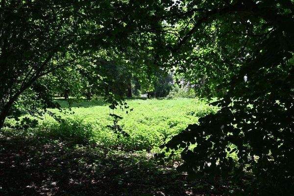 20253006 Teublitz HAUS A 23 (59).JPG