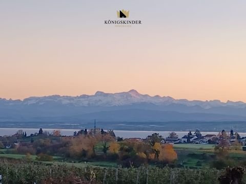 Meersburg-Riedetsweiler Grundstücke, Meersburg-Riedetsweiler Grundstück kaufen