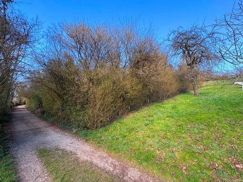 Esslingen am Neckar / Hegensberg Bauernhöfe, Landwirtschaft, Esslingen am Neckar / Hegensberg Forstwirtschaft