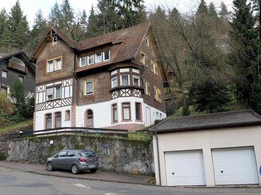 Straßenansicht mit Garage