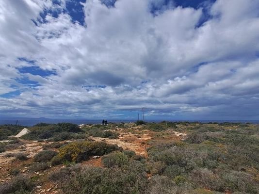 Kreta, Skaleta: Riesiges Grundstück zum Verkauf - 