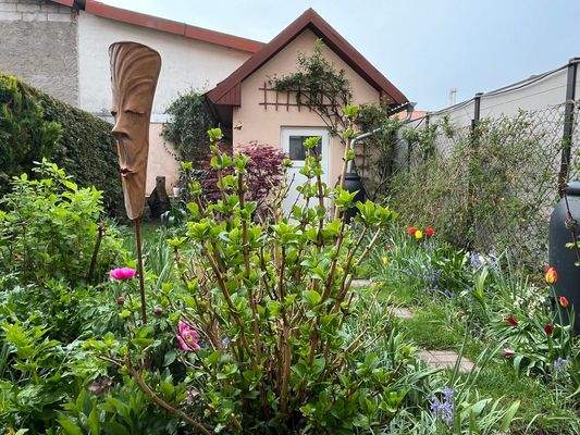 ... mit Blick in den Garten