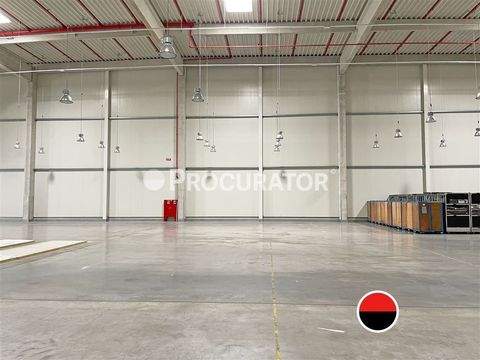 Hamburg Halle, Hamburg Hallenfläche