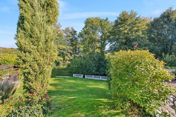 Gartenfläche mit Zypresse