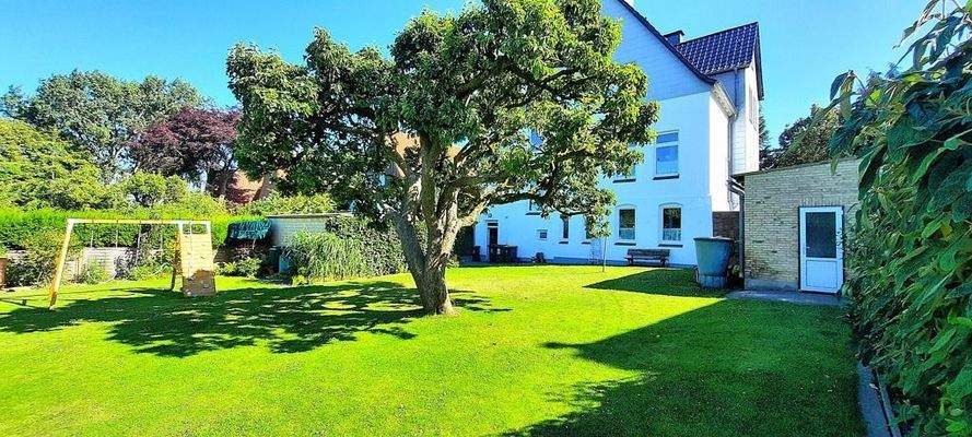 Blick aus dem Garten