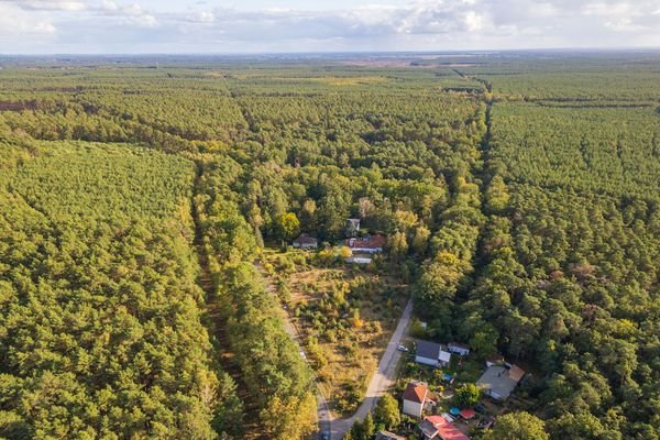 Umgebende Waldlandschaft