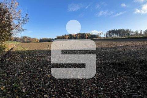 Wurmannsquick Bauernhöfe, Landwirtschaft, Wurmannsquick Forstwirtschaft