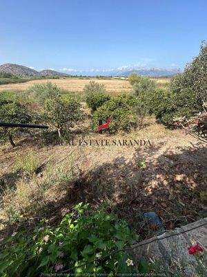 WhatsApp Image 2024-09-06 at 10.30.40 (2).jpeg