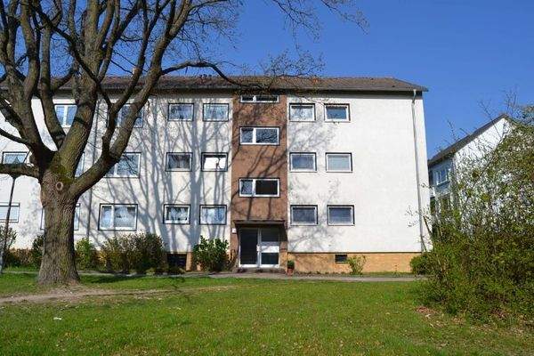 Akazienallee 62: Blick über die Grünanlage mit altem Baumbestand auf den barrierefreien Eingangsbereich eines mehrgeschossigen Wohngebäudes mit heller Fassade