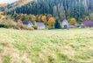 Blick ins Grüne