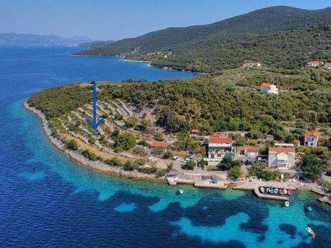 Korcula Bauernhöfe, Landwirtschaft, Korcula Forstwirtschaft