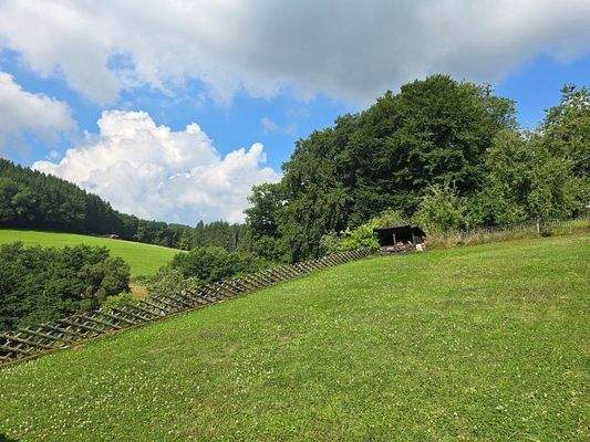 Wiese hinter dem Gartenhaus