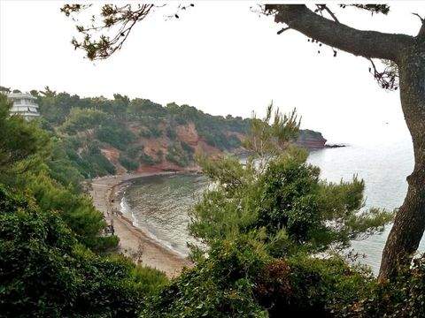 Attika Bauernhöfe, Landwirtschaft, Attika Forstwirtschaft