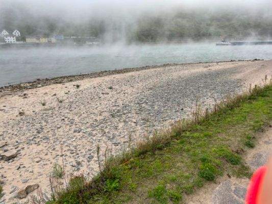 Rheinufer nebelig (4-5 min. Fußweg)