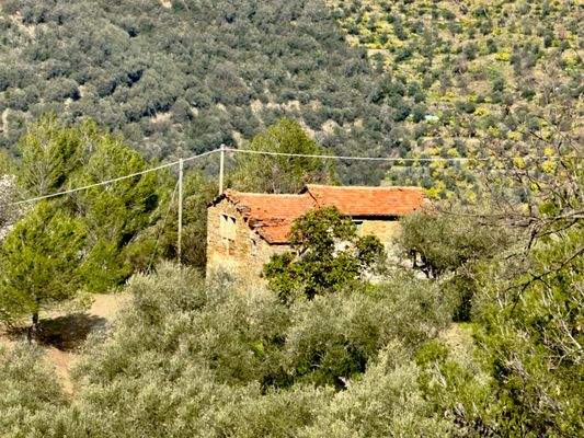 DA958_10 TERRA ITALIA IMMOBILIEN_LIGURIEN_DOLCEACQ