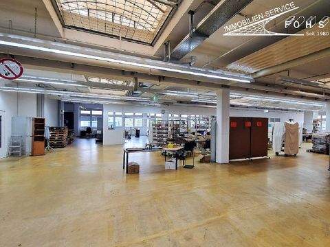 Frickenhausen Halle, Frickenhausen Hallenfläche