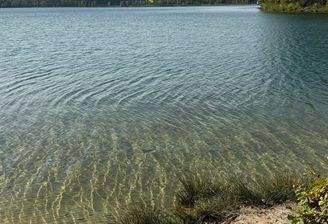 20241017 Steinberg (1).jpeg