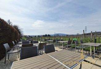 Gastgarten mit Blick auf die Weingärten und Wien