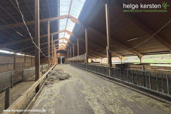 Stallung_3